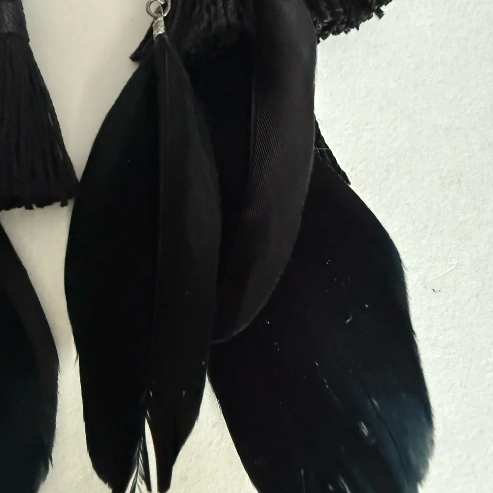 Chic Black Feather and Black  Tassel Earrings - Picture 11 of 14
